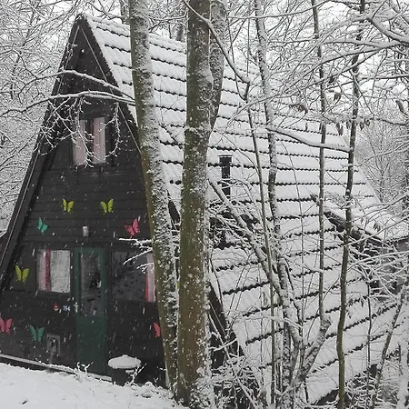 194, Toplocatie Midden In De Natuur!